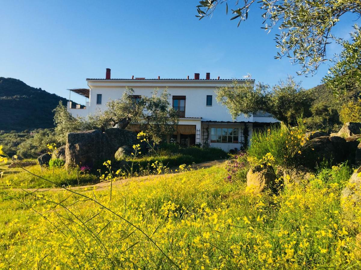 Villa Flores Amarillas Almoharin Esterno foto